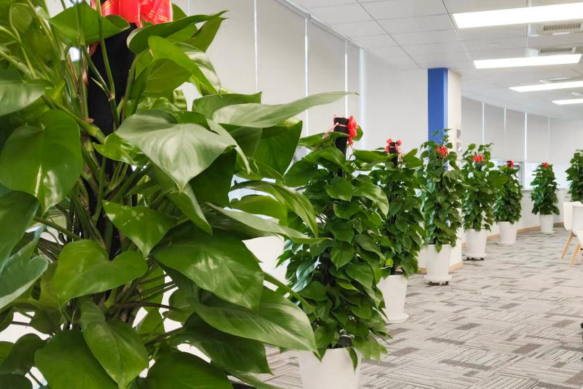 图片4.png 图片4.png