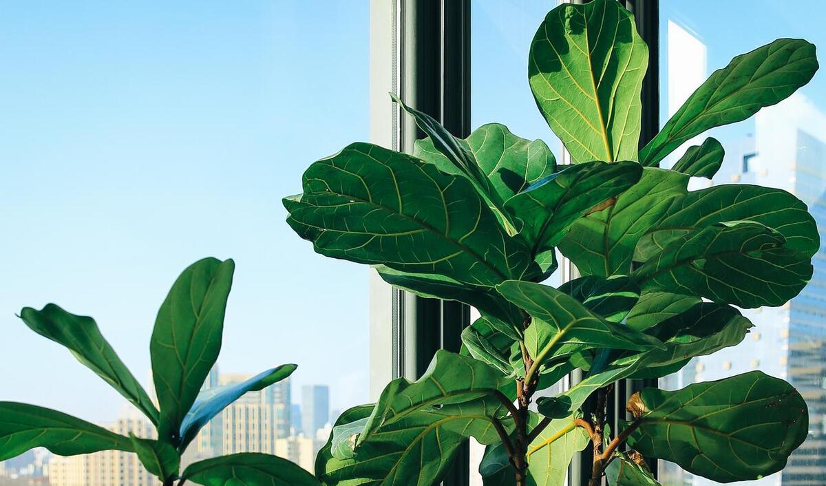 04ff7db216d74c48844fd2fc44aa447f~tplv-obj.jpg 04ff7db216d74c48844fd2fc44aa447f~tplv-obj.jpg